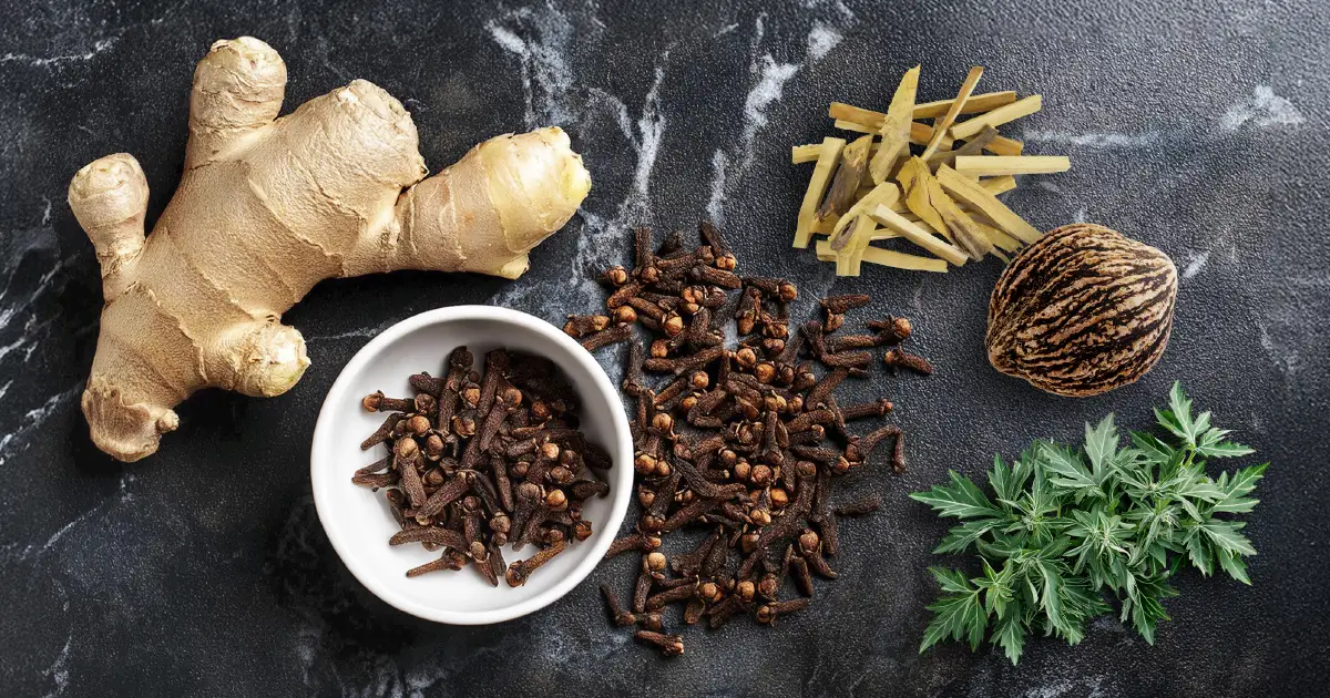 5 Herbs for a Natural Digestive Detox_Blog_1200x630 5 herbs for digestive detox.